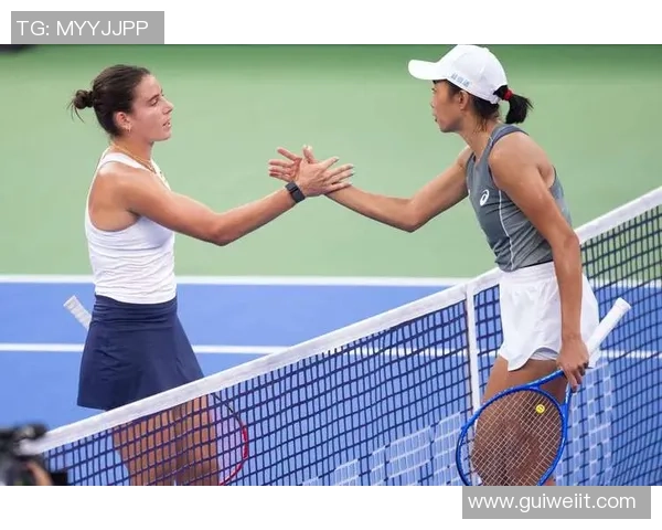 武汉网球队的节奏揭秘：深度解析网球运动的魅力与挑战