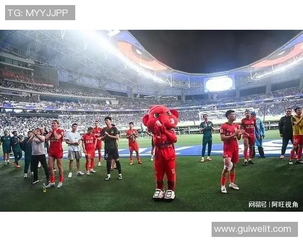 河南足球历史上的杰出球员与明星榜单回顾